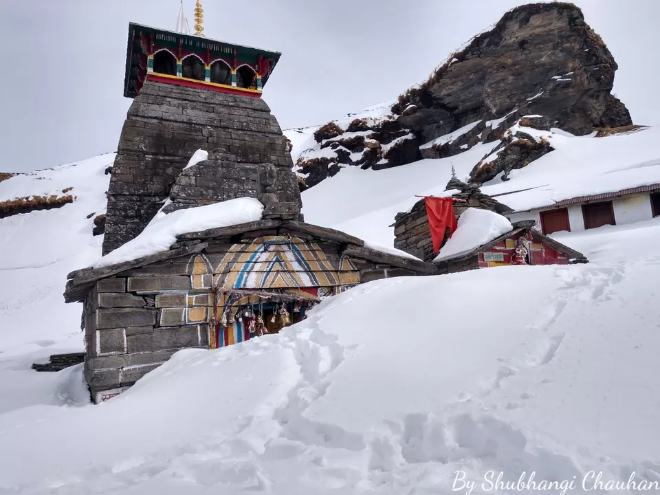 Photo of Winter Trek to Deoria Tal, Chopta, Tungnath and Chandrashila by Shubh