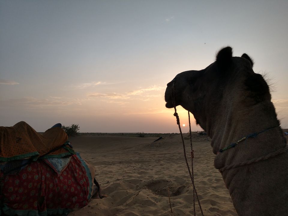 Photo of A Day in Jaisalmer : Must Visit by Shubhangi Chauhan