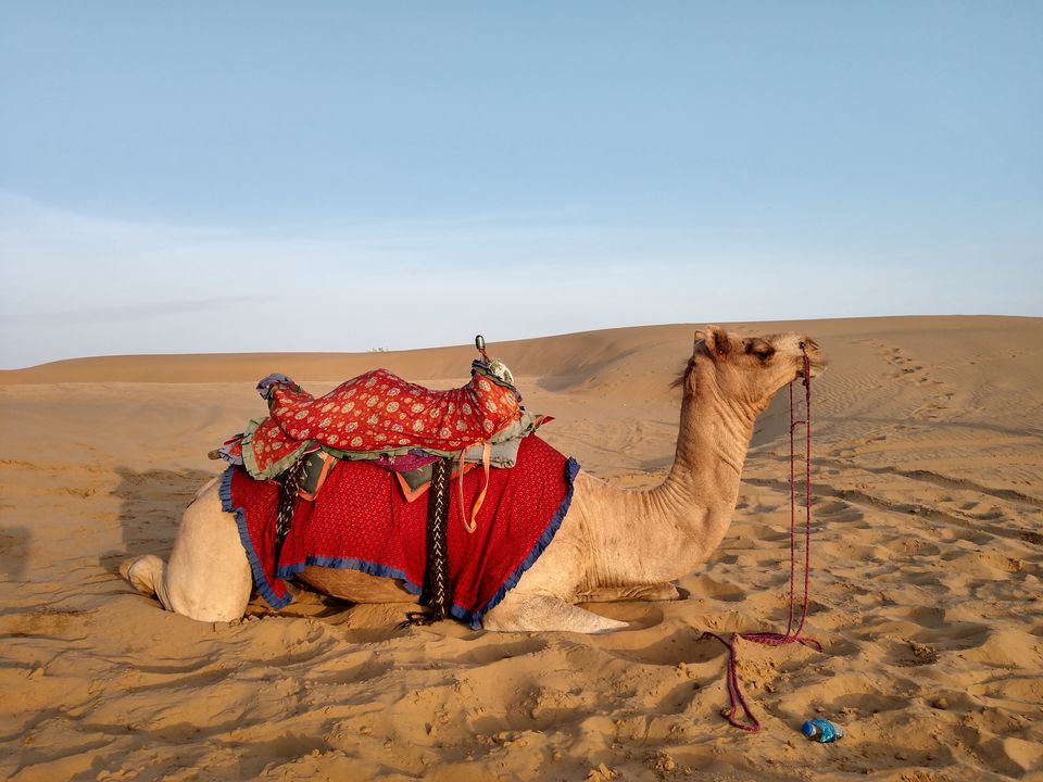 Photo of A Day in Jaisalmer : Must Visit by Shubh