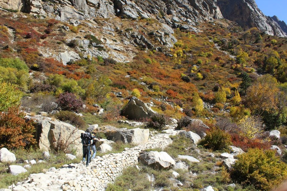 Photo of Gaumukh, Gangotri - Gaumukh Pedestrian Way, Uttarakhand 249135, India by Nachikethas MJ
