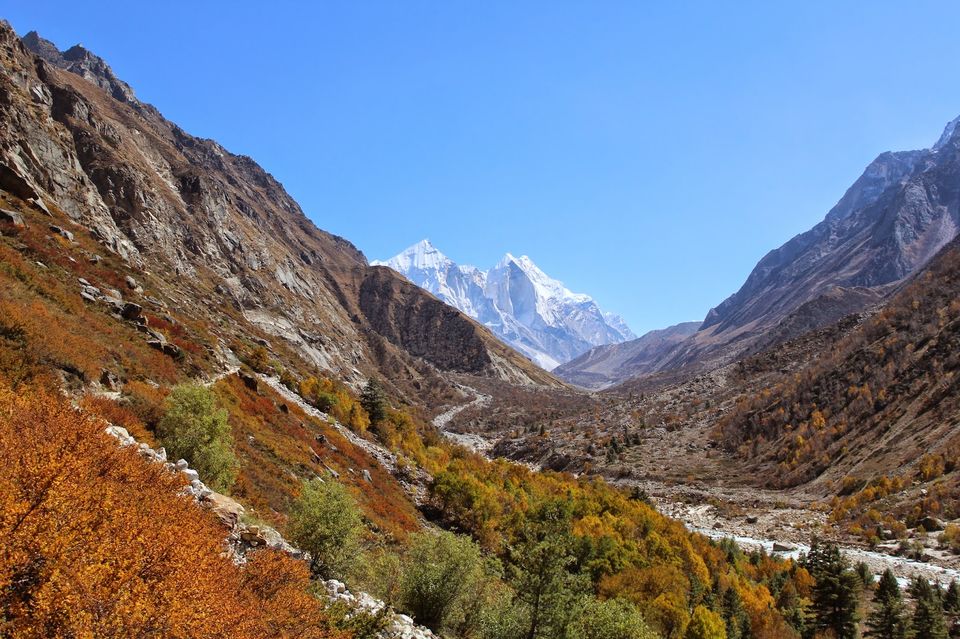 Photo of Gaumukh, Gangotri - Gaumukh Pedestrian Way, Uttarakhand 249135, India by Nachikethas MJ