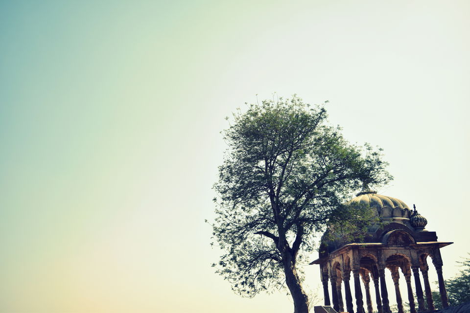Photo of Forts, Deserts, Camels, Sand and 6 Trains : A tale of Rajasthan Trip – Part 2 9/18 by Nachikethas MJ