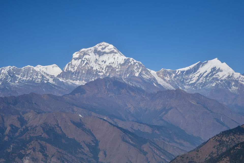Photo of Dhal Bhat Power 24/7! Annapurna Base Camp /ABC & Poon Hill Trekking by Nachikethas MJ