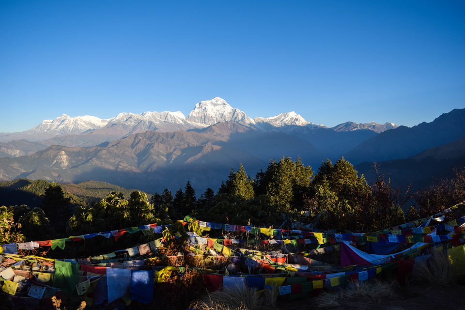 Photo of Dhal Bhat Power 24/7! Annapurna Base Camp /ABC & Poon Hill Trekking by Nachikethas MJ