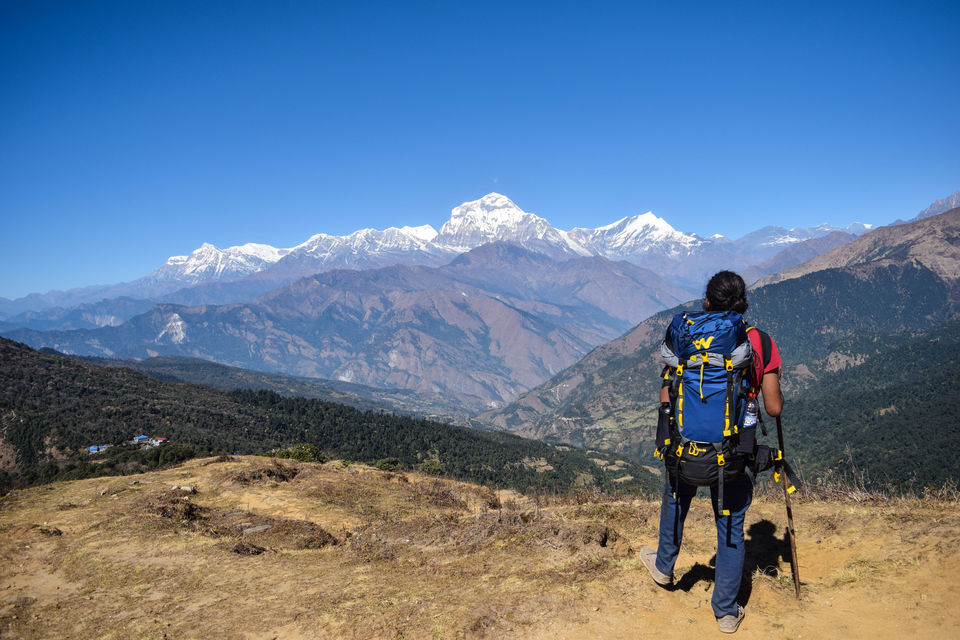 Photo of Dhal Bhat Power 24/7! Annapurna Base Camp /ABC & Poon Hill Trekking by Nachikethas MJ