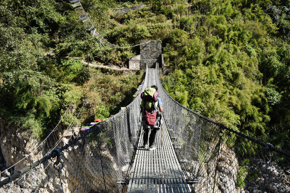 Photo of Dhal Bhat Power 24/7! Annapurna Base Camp /ABC & Poon Hill Trekking by Nachikethas MJ