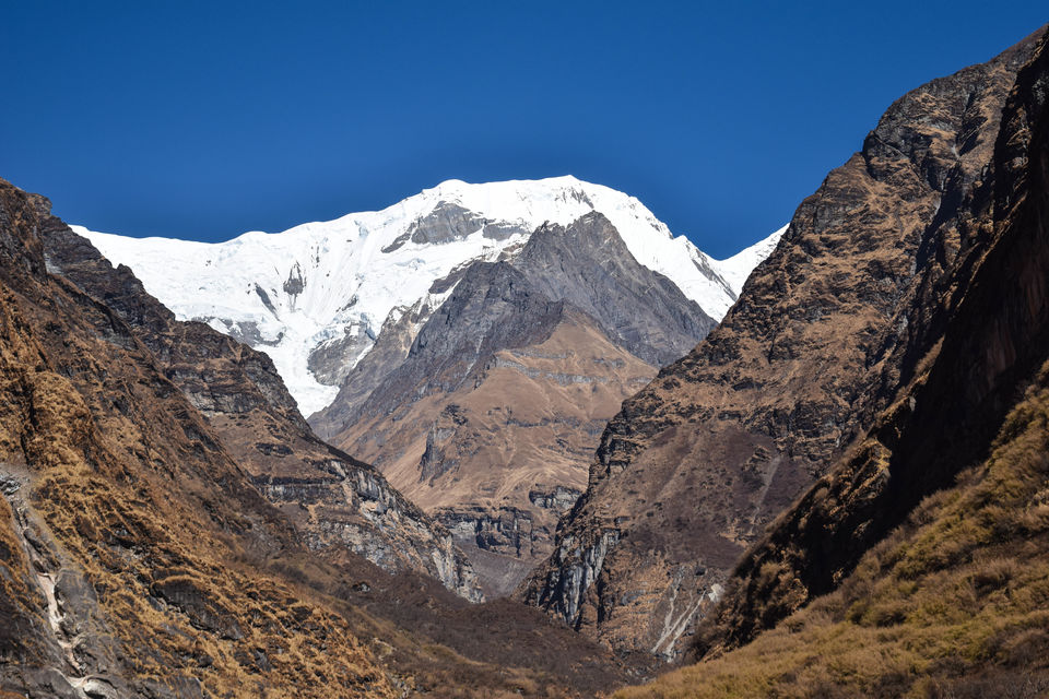 Photo of Dhal Bhat Power 24/7! Annapurna Base Camp /ABC & Poon Hill Trekking by Nachikethas MJ