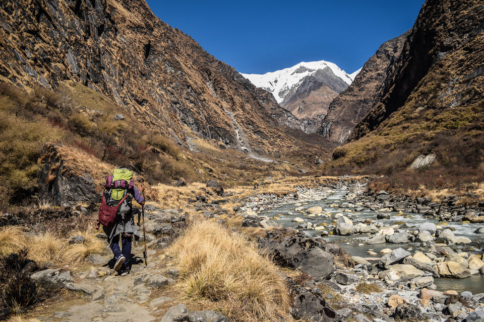 Photo of Dhal Bhat Power 24/7! Annapurna Base Camp /ABC & Poon Hill Trekking by Nachikethas MJ