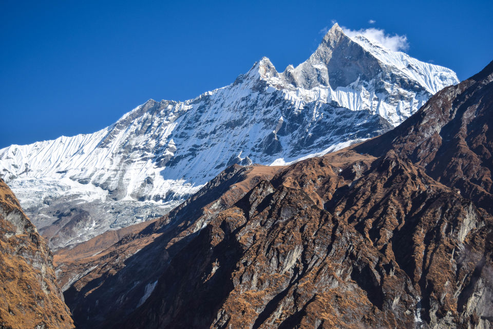 Photo of Machhapuchhre Base Camp, Ghandruk, Nepal by Nachikethas MJ