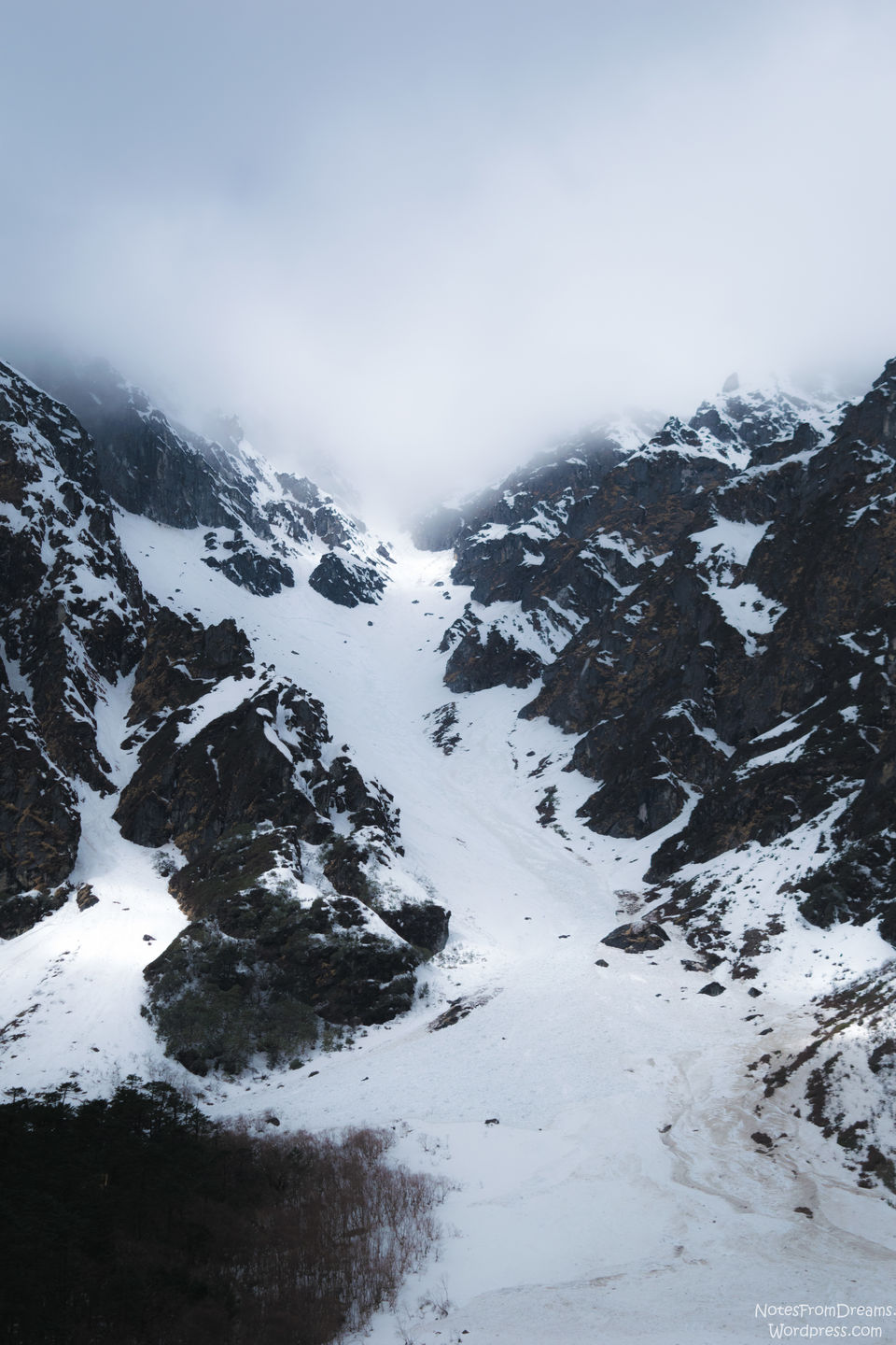 Photo of Yumthang Valley, North Sikkim, Sikkim, India by Nachikethas MJ