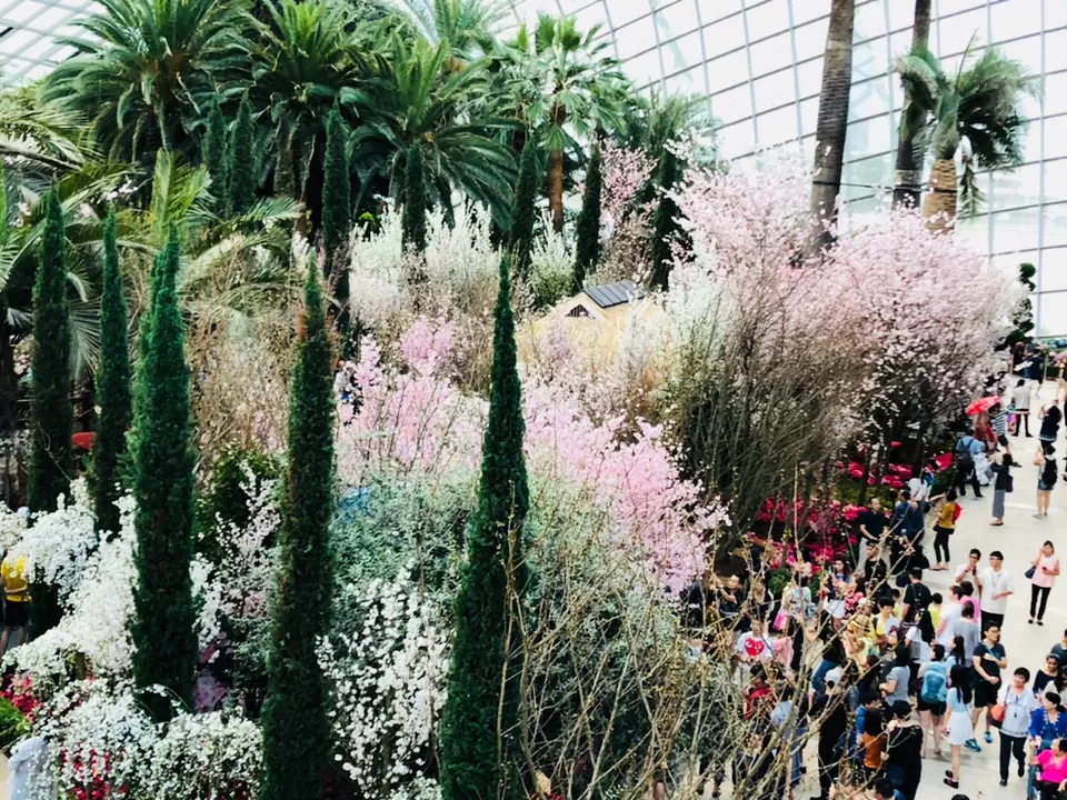 Photo of Gardens By The Bay East, Singapore by Marigold Odyssey