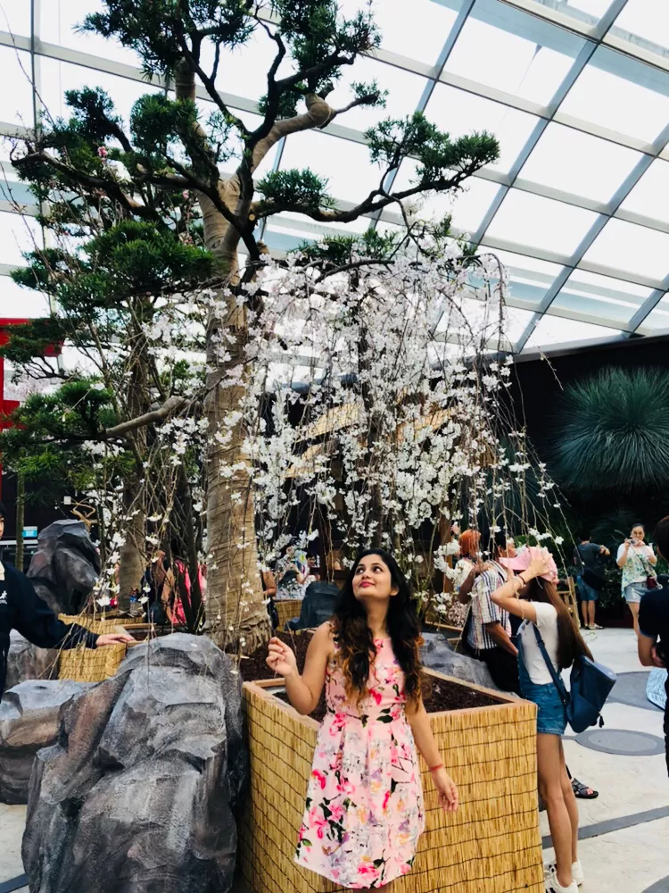 Photo of Gardens By The Bay East, Singapore by Marigold Odyssey