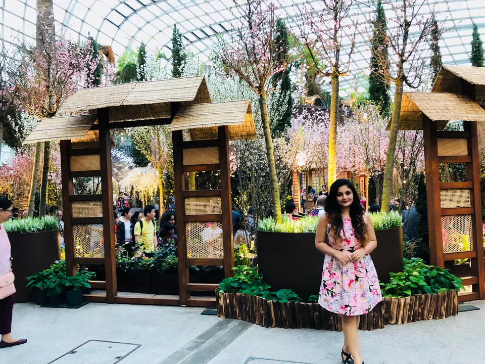Photo of Gardens By The Bay East, Singapore by Marigold Odyssey