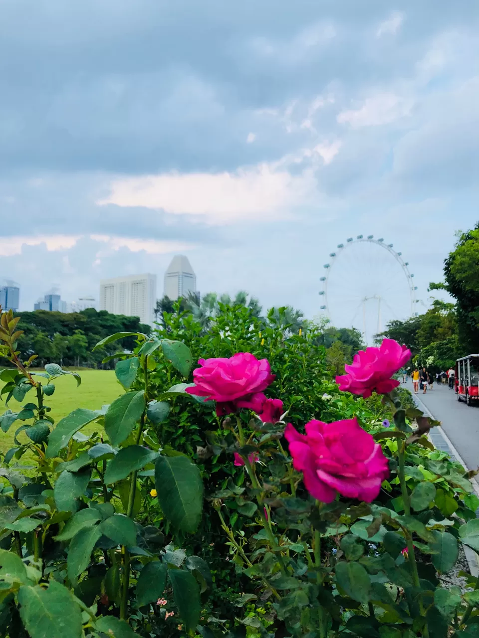 Photo of Gardens By The Bay East, Singapore by Marigold Odyssey