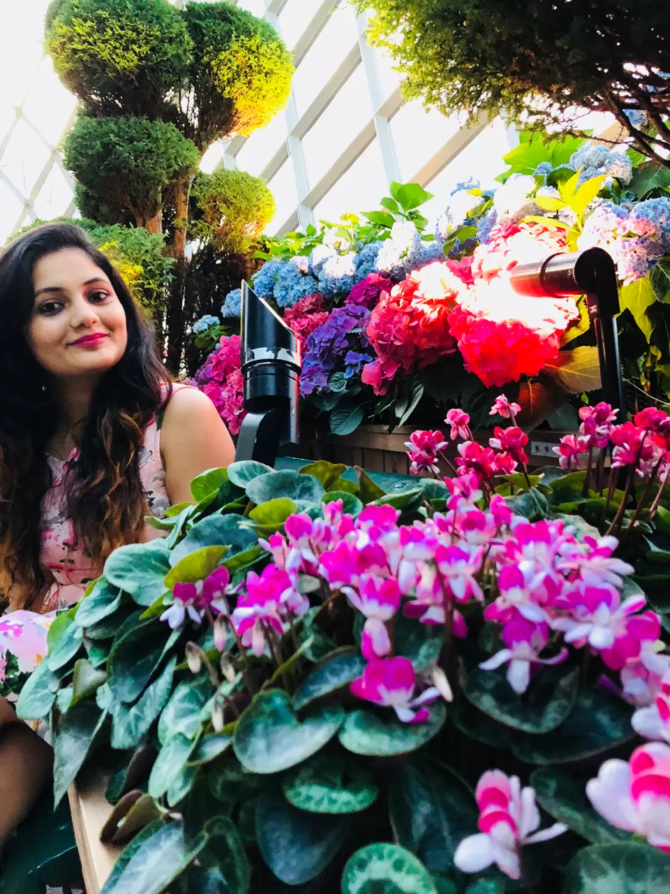 Photo of Gardens By The Bay East, Singapore by Marigold Odyssey