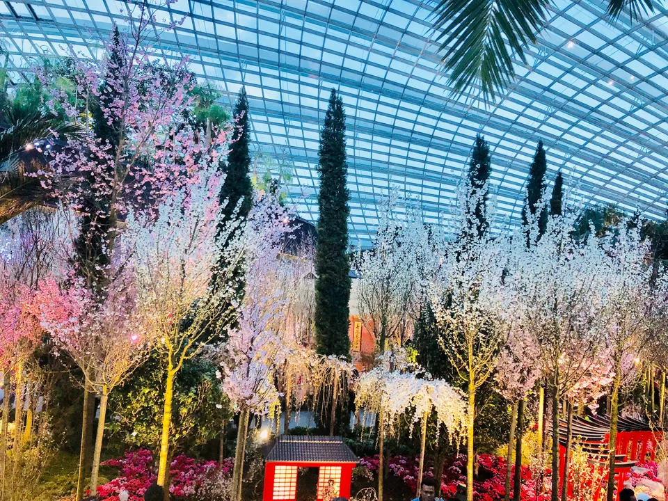 Photo of Gardens By The Bay East, Singapore by Marigold Odyssey