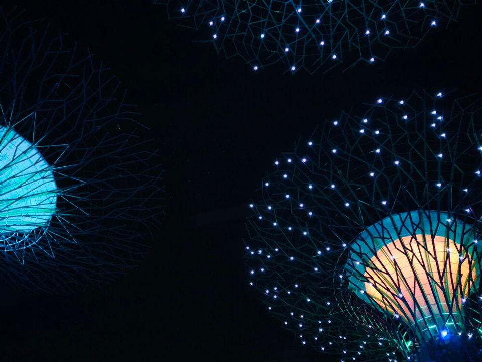 Photo of Gardens By The Bay (East), Singapore by Sadhna Bourai