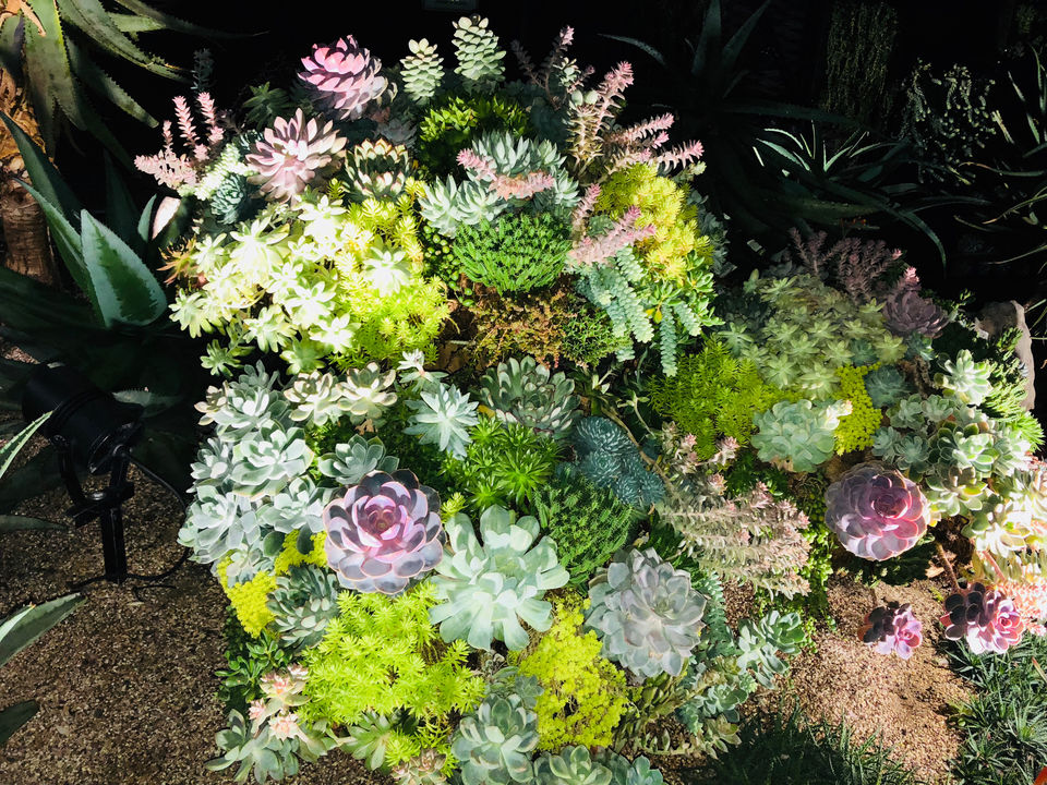 Photo of Gardens By The Bay (East), Singapore by Sadhna Bourai