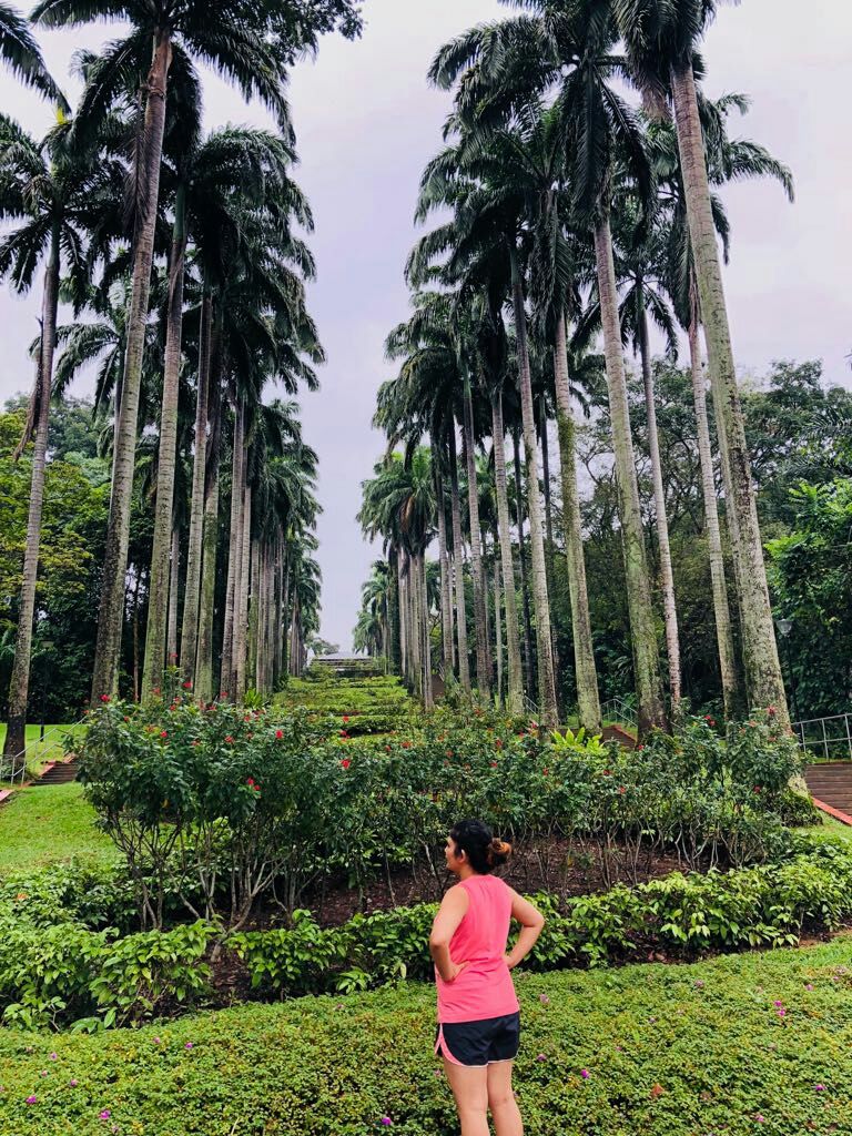 Photo of Ang Mo Kio Town Garden West, Singapore by Marigold Odyssey