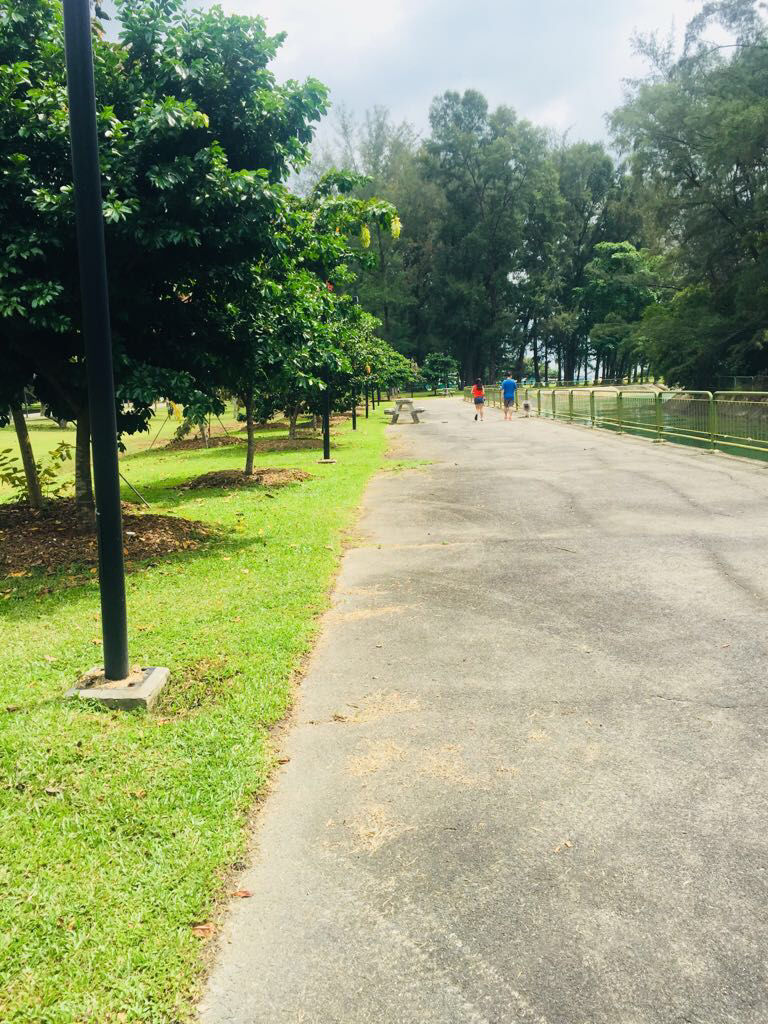 Photo of ECP, Singapore by Marigold Odyssey