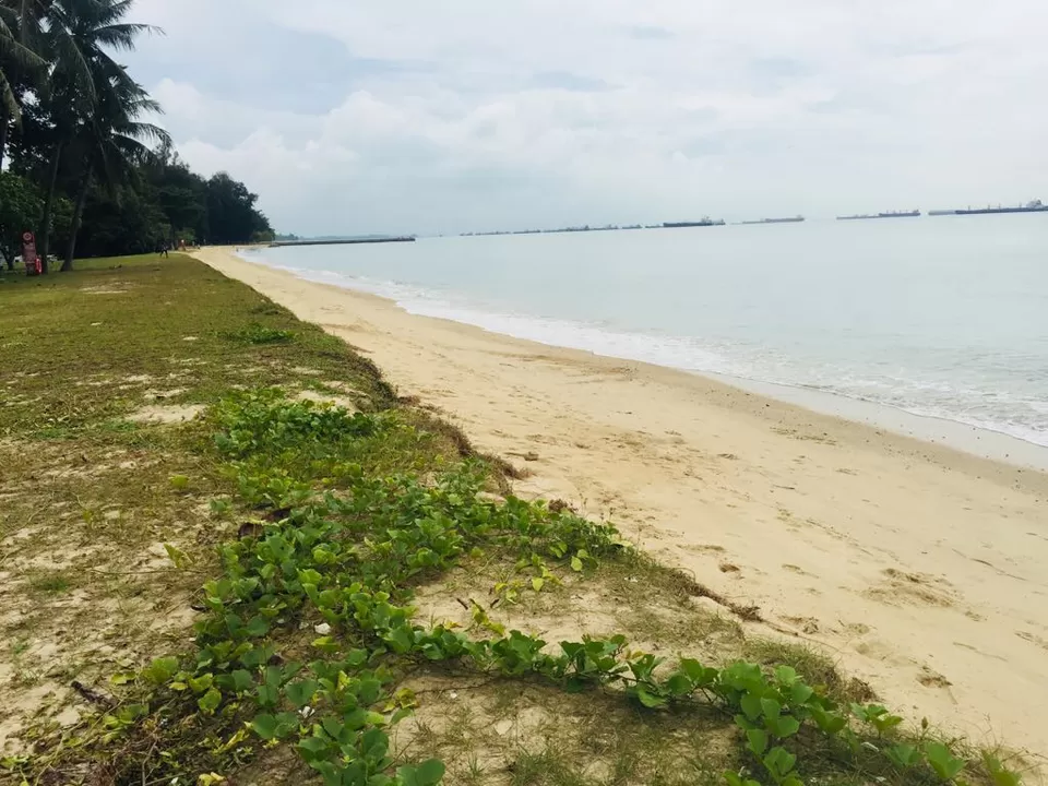 Photo of ECP, Singapore by Marigold Odyssey