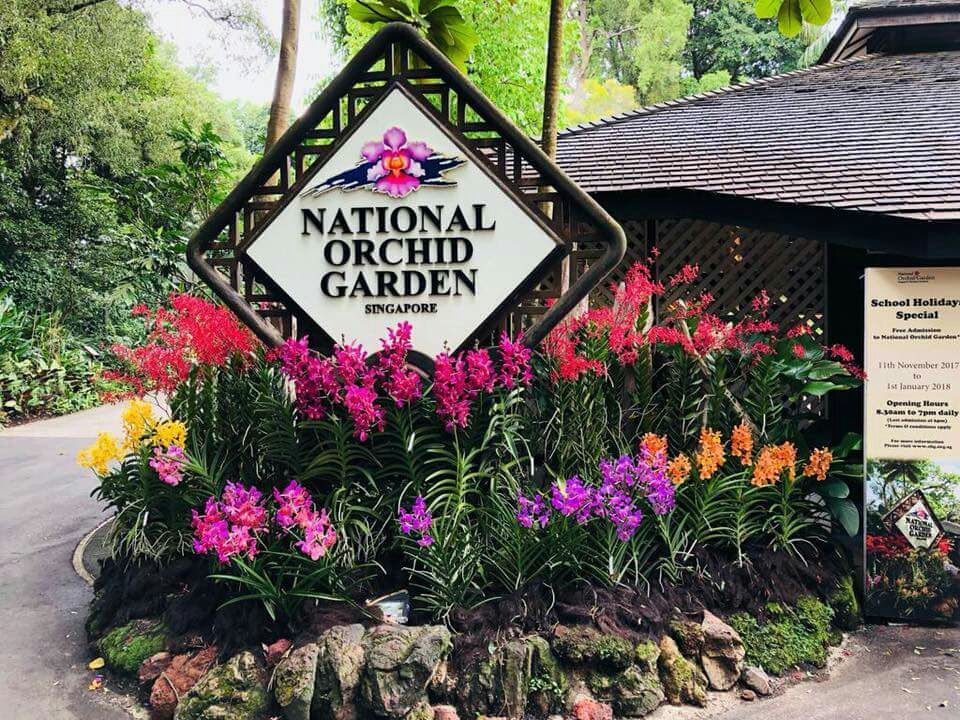 Photo of A local's guide to Singapore 1/12 by Marigold Odyssey