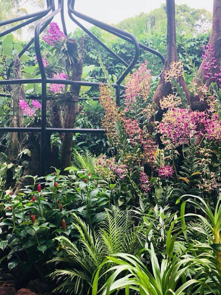 Photo of A local's guide to Singapore 7/12 by Marigold Odyssey