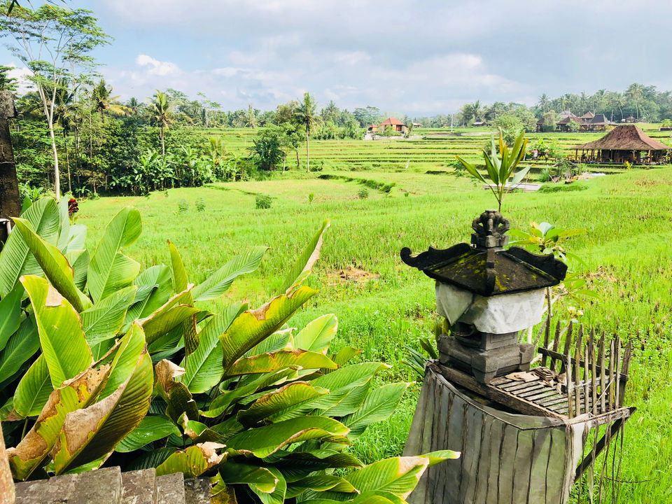 Photo of Karsa Spa, Kelusa, Gianyar, Bali, Indonesia by Marigold Odyssey