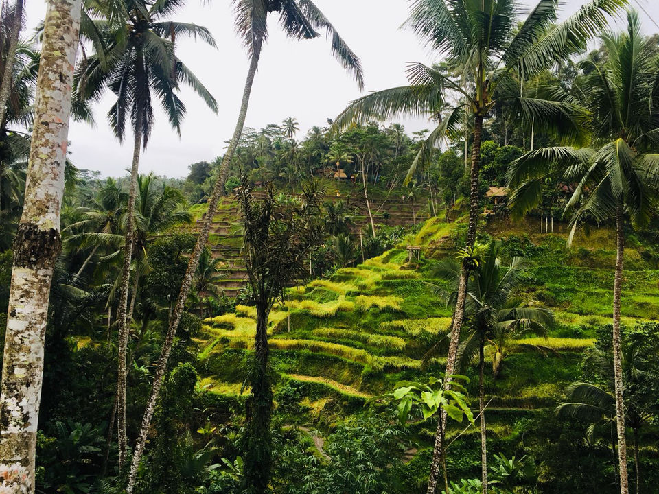 Photo of Karsa Spa, Kelusa, Gianyar, Bali, Indonesia by Marigold Odyssey