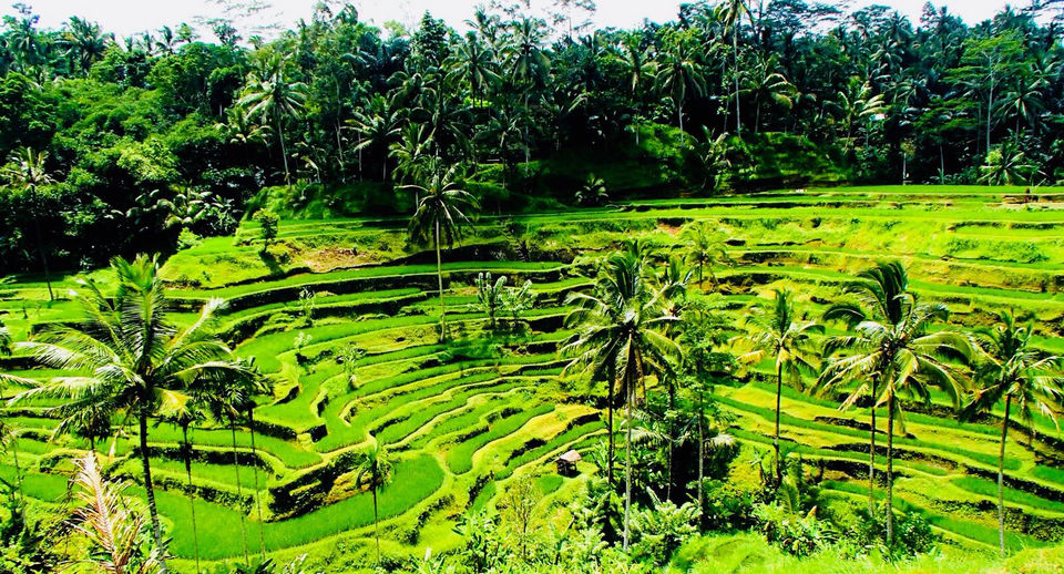 Photo of Karsa Spa, Kelusa, Gianyar, Bali, Indonesia by Marigold Odyssey