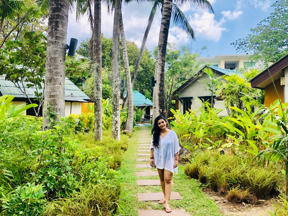 Photo of Kata Beach, Karon, Mueang Phuket District, Phuket, Thailand by Marigold Odyssey