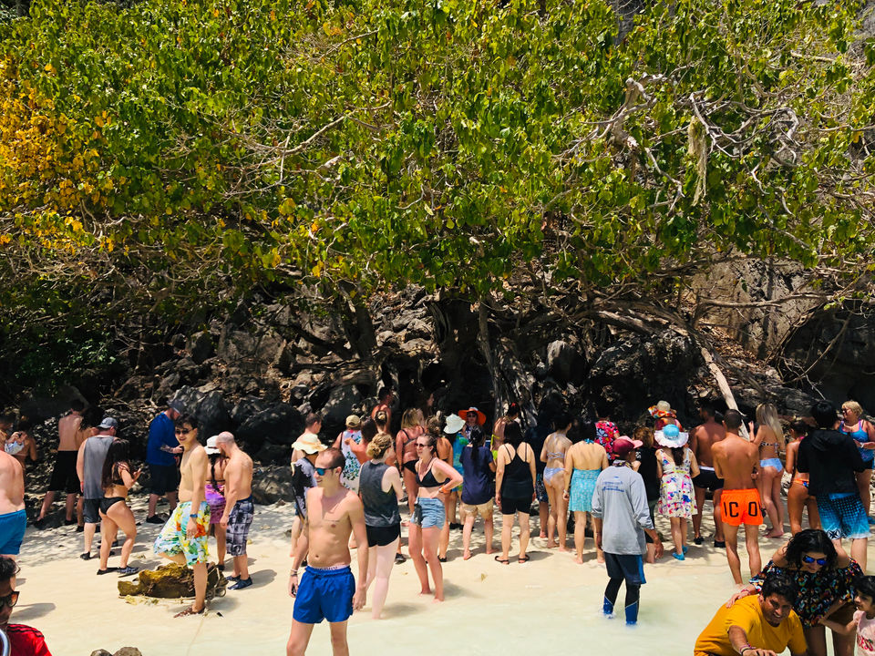 Photo of Phi Phi Islands, Krabi, Thailand by Marigold Odyssey