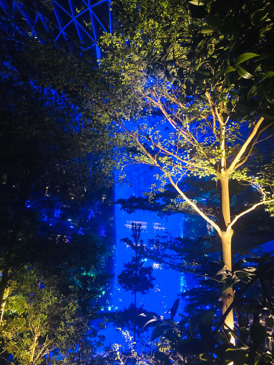 Photo of A local's guide to Singapore by Marigold Odyssey