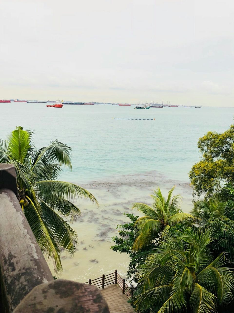 Photo of A local's guide to Singapore by Marigold Odyssey