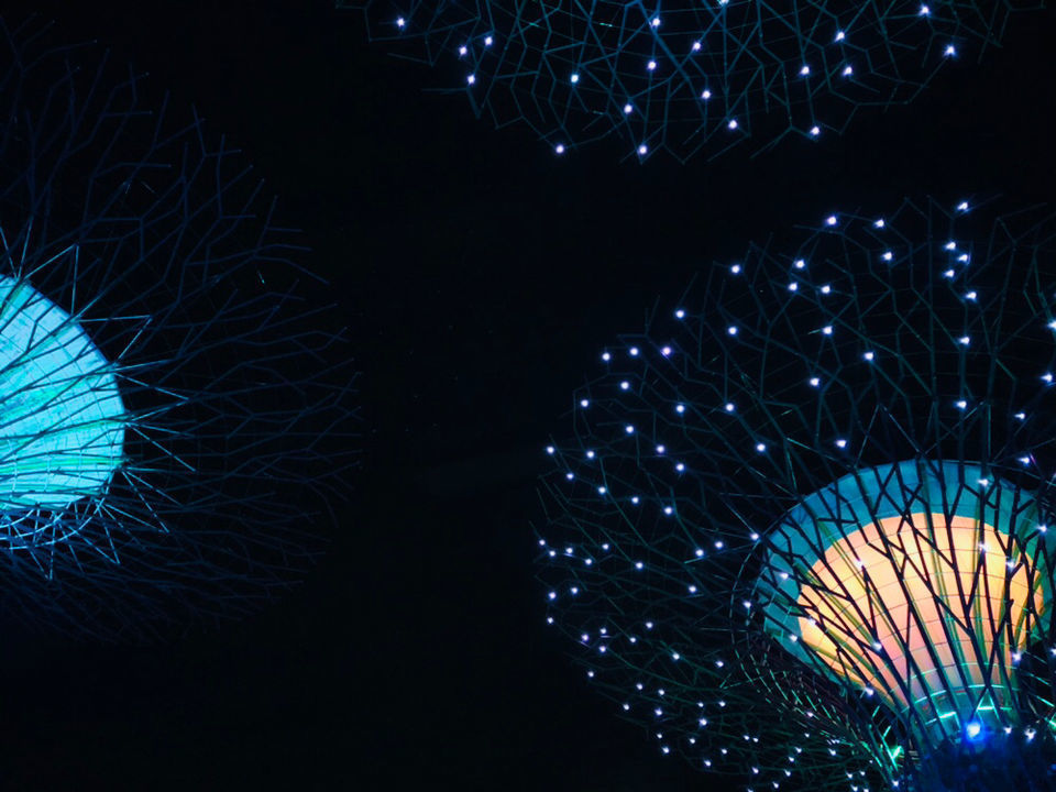 Photo of A local's guide to Singapore by Marigold Odyssey
