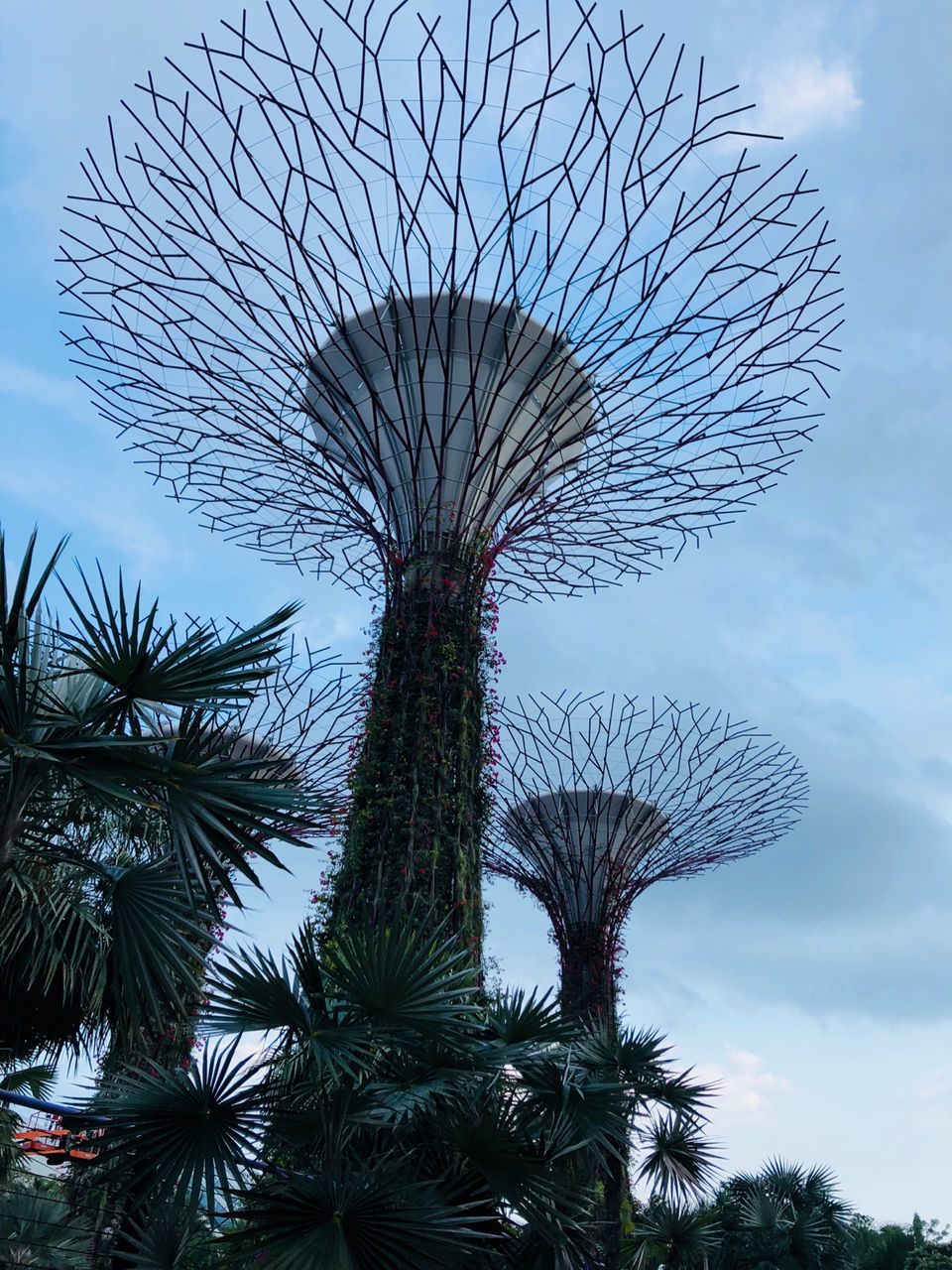 Photo of A local's guide to Singapore by Marigold Odyssey