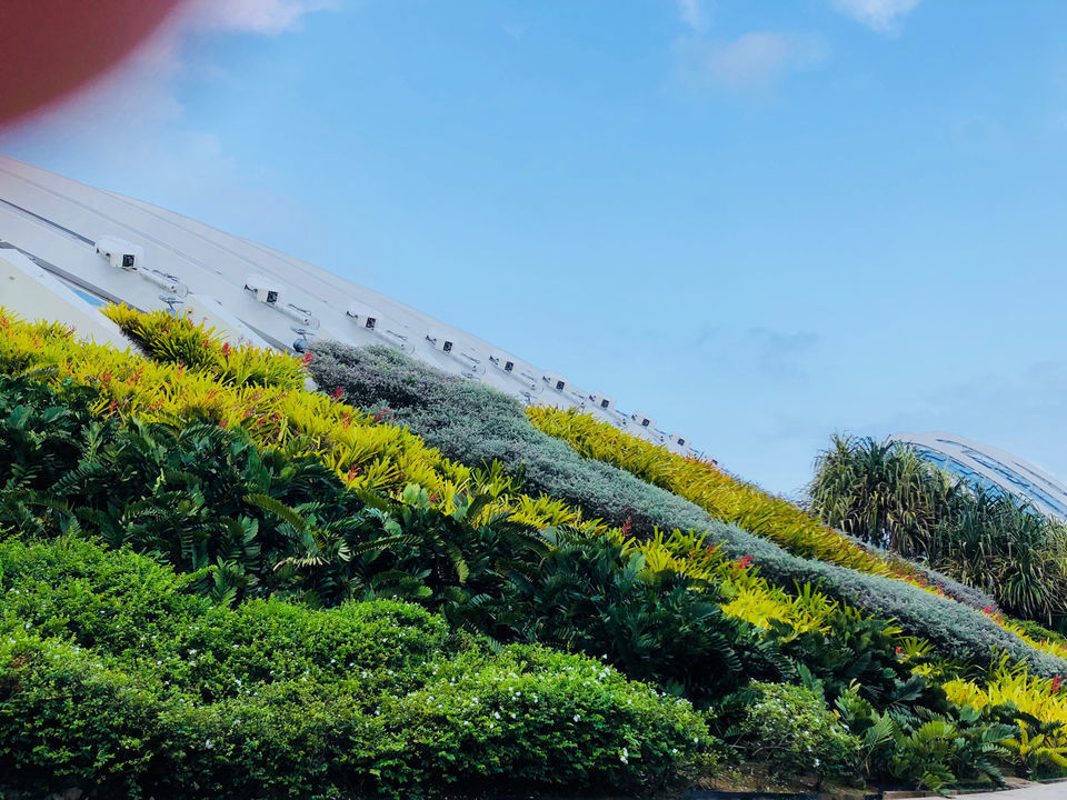 Photo of A local's guide to Singapore by Marigold Odyssey