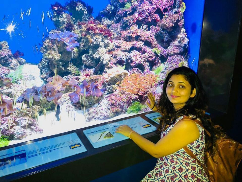 Photo of A local's guide to Singapore by Marigold Odyssey