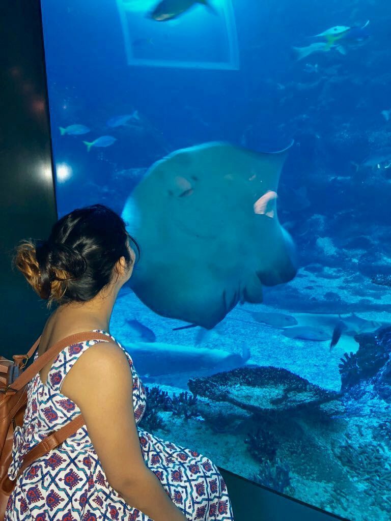 Photo of A local's guide to Singapore by Marigold Odyssey
