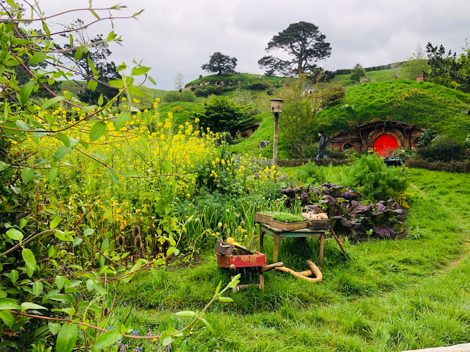 Photo of Hobbiton Movie Set, Matamata, New Zealand by Marigold Odyssey