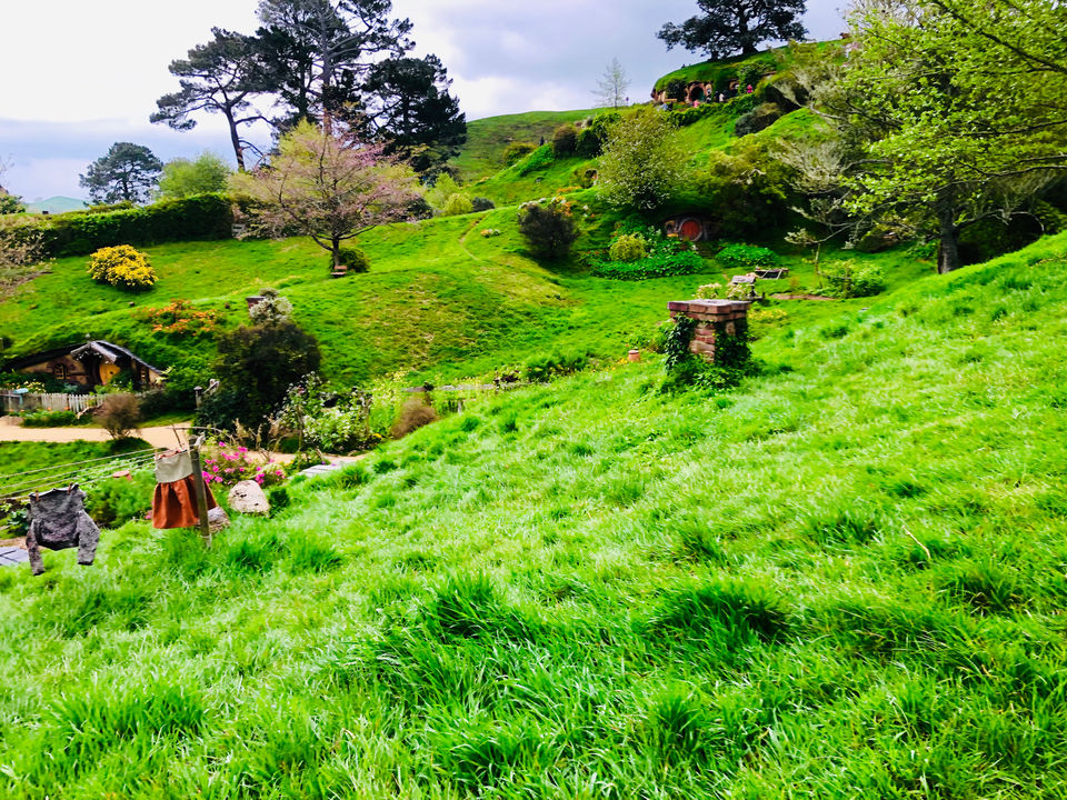 Photo of Hobbiton Movie Set, Matamata, New Zealand by Marigold Odyssey