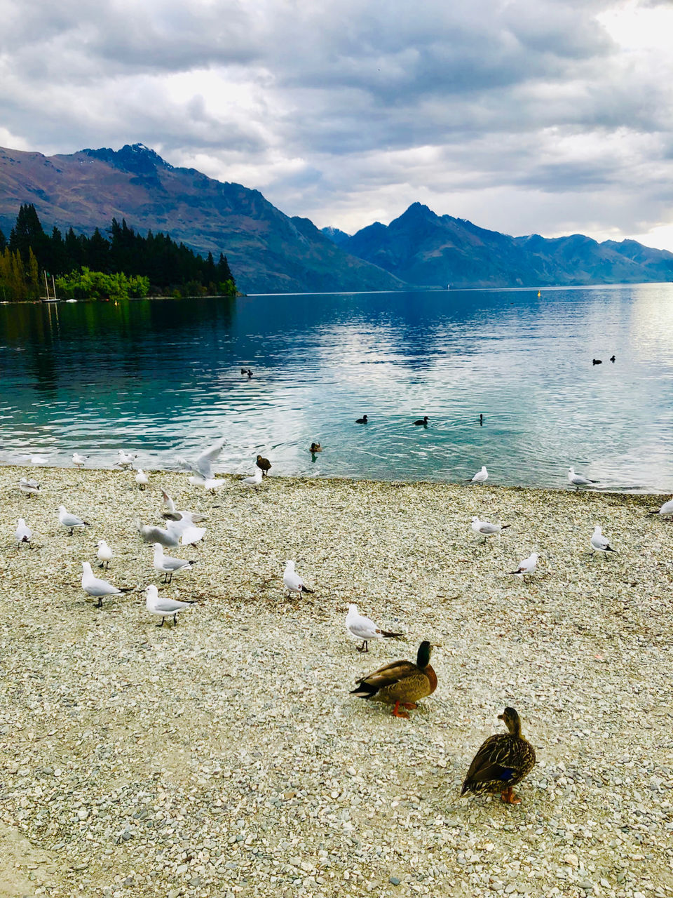 Photo of Queenstown, New Zealand by Marigold Odyssey