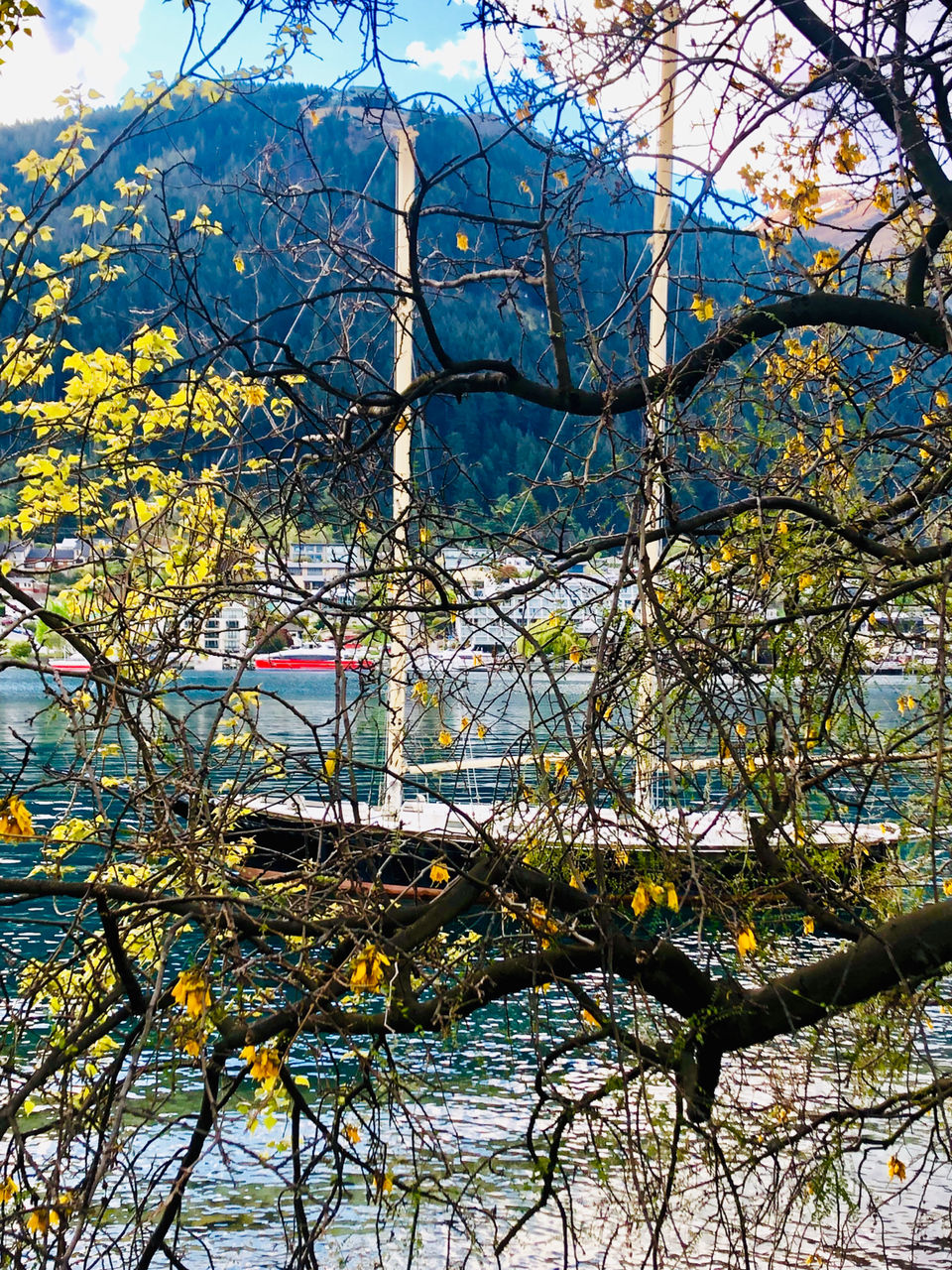 Photo of Queenstown, New Zealand by Marigold Odyssey