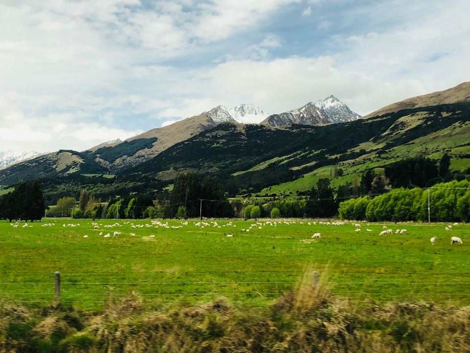 Photo of Glenorchy, New Zealand by Marigold Odyssey