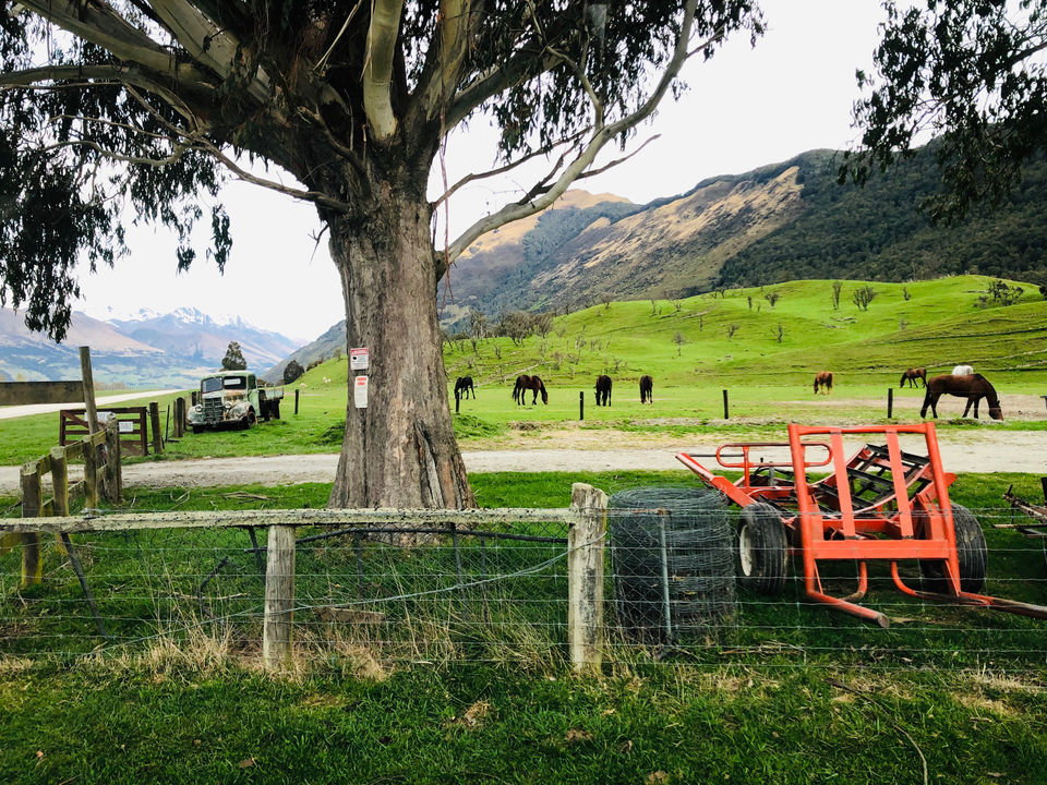 Photo of Glenorchy, New Zealand by Marigold Odyssey