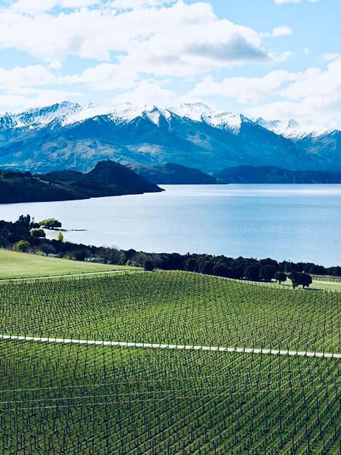 Photo of Twizel, New Zealand by Marigold Odyssey