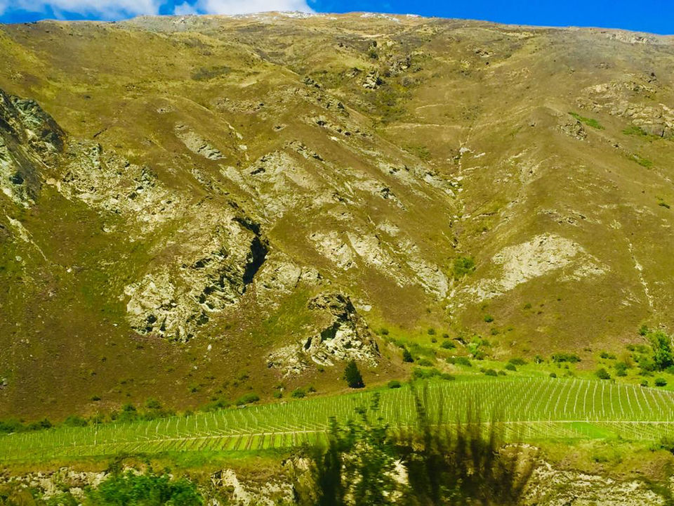 Photo of Twizel, New Zealand by Marigold Odyssey