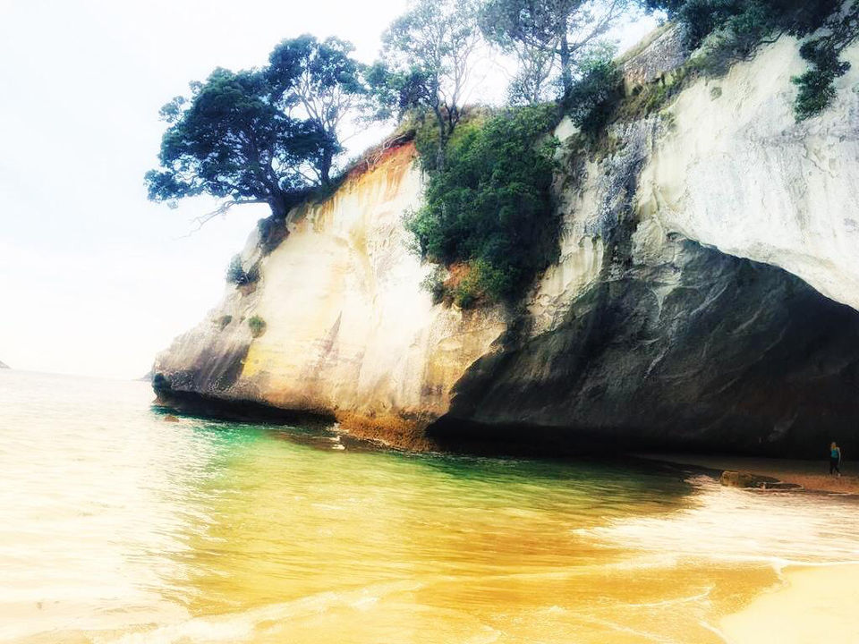 Photo of Coromandel Peninsula, Kaimarama, New Zealand by Marigold Odyssey