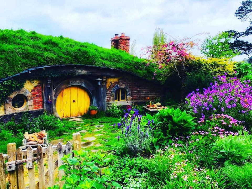 Photo of Hobbiton Movie Set, Matamata, New Zealand by Marigold Odyssey