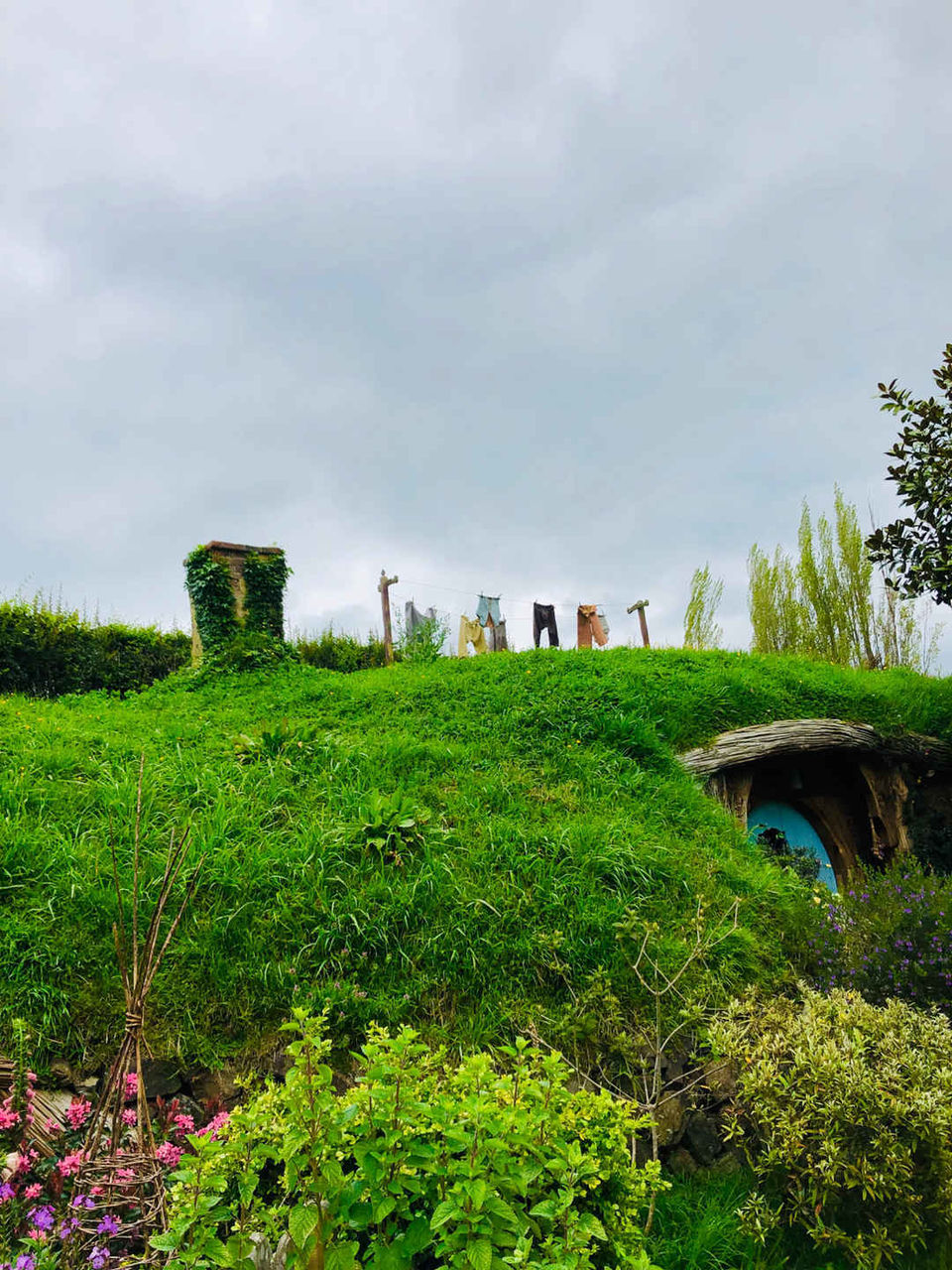 Photo of Hobbiton Movie Set, Matamata, New Zealand by Marigold Odyssey